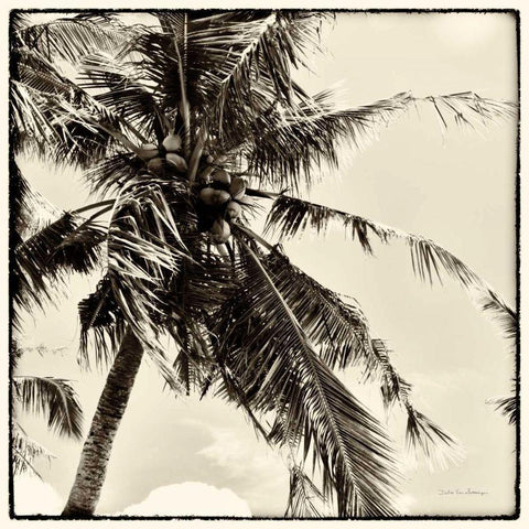 Palm Tree Sepia II Black Modern Wood Framed Art Print by Van Swearingen, Debra