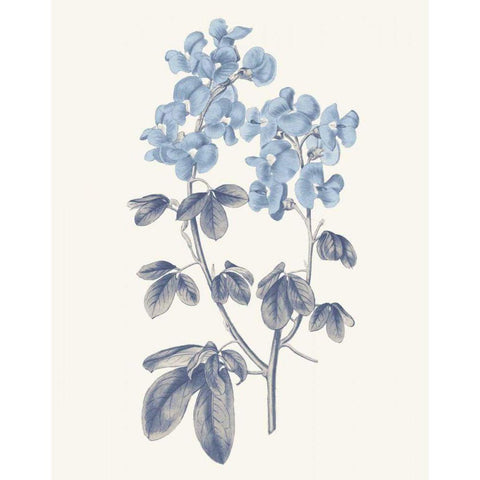 Blue Botanical III Black Modern Wood Framed Art Print by Wild Apple Portfolio