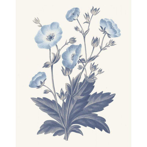 Blue Botanical VI White Modern Wood Framed Art Print by Wild Apple Portfolio