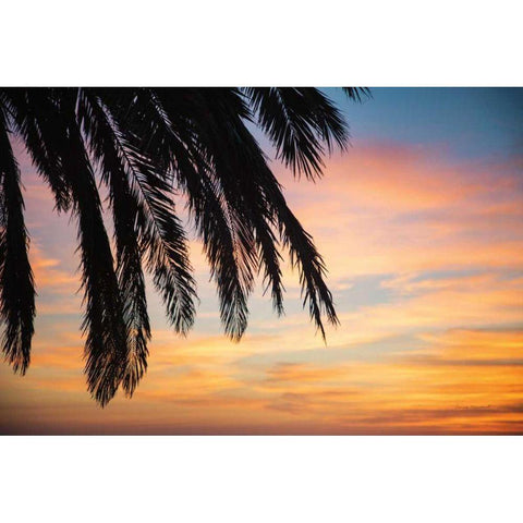 Sunset Palms I Black Modern Wood Framed Art Print by Marshall, Laura