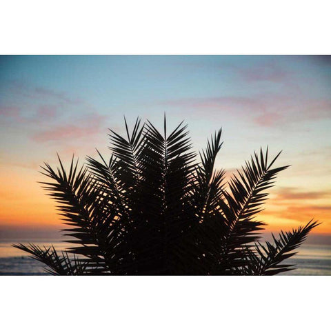 Sunset Palms II Black Modern Wood Framed Art Print with Double Matting by Marshall, Laura