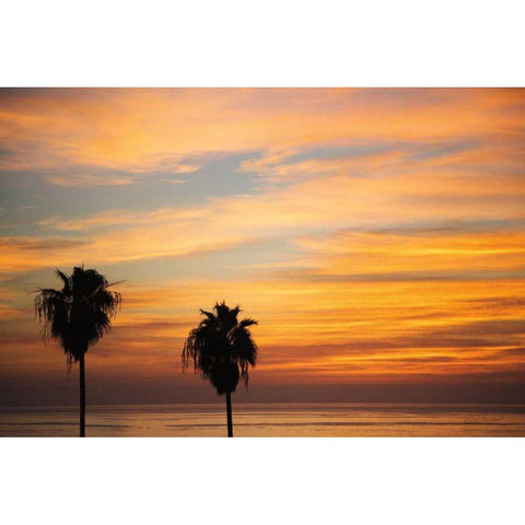 Sunset Palms III Gold Ornate Wood Framed Art Print with Double Matting by Marshall, Laura