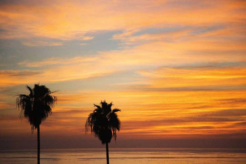 Sunset Palms III White Modern Wood Framed Art Print with Double Matting by Marshall, Laura