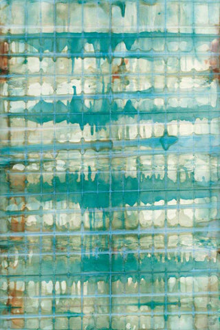 Kanari I Black Ornate Wood Framed Art Print with Double Matting by Averinos, Melissa