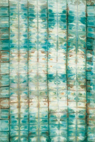 Kanari II Black Ornate Wood Framed Art Print with Double Matting by Averinos, Melissa