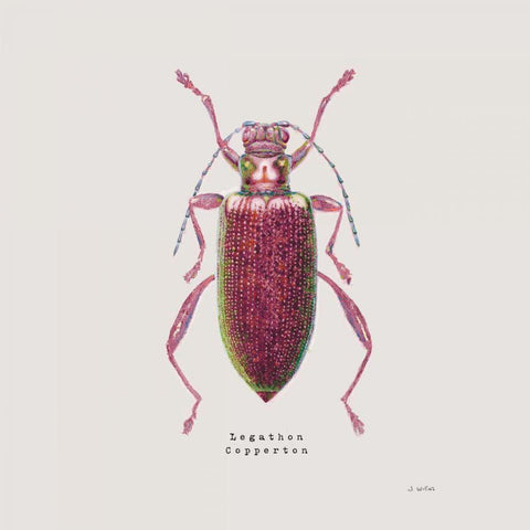 Adorning Coleoptera VI Sq Claret White Modern Wood Framed Art Print by Wiens, James