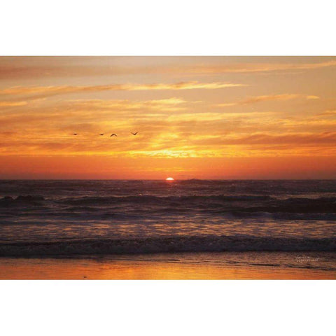 At Days End II Black Modern Wood Framed Art Print by Marshall, Laura