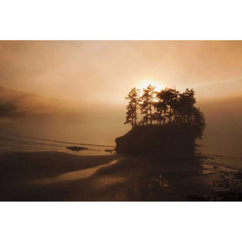 Last Light Black Modern Wood Framed Art Print by Marshall, Laura