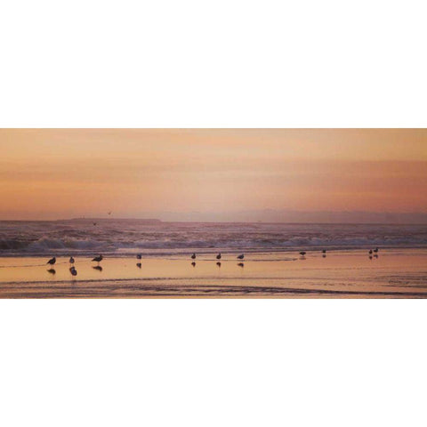 Kalaloch Birds V Gold Ornate Wood Framed Art Print with Double Matting by Marshall, Laura