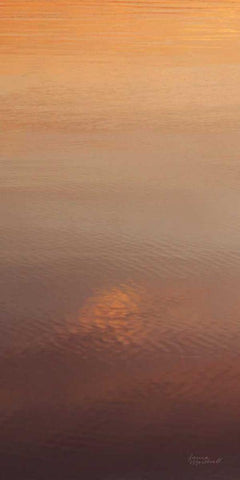 Kalaloch Reflections I Black Ornate Wood Framed Art Print with Double Matting by Marshall, Laura