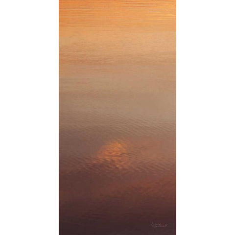 Kalaloch Reflections I Black Modern Wood Framed Art Print by Marshall, Laura