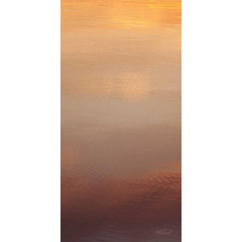 Kalaloch Reflections II White Modern Wood Framed Art Print by Marshall, Laura