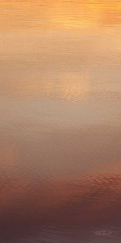 Kalaloch Reflections II White Modern Wood Framed Art Print with Double Matting by Marshall, Laura