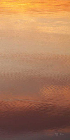 Kalaloch Reflections III White Modern Wood Framed Art Print with Double Matting by Marshall, Laura