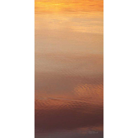 Kalaloch Reflections III White Modern Wood Framed Art Print by Marshall, Laura