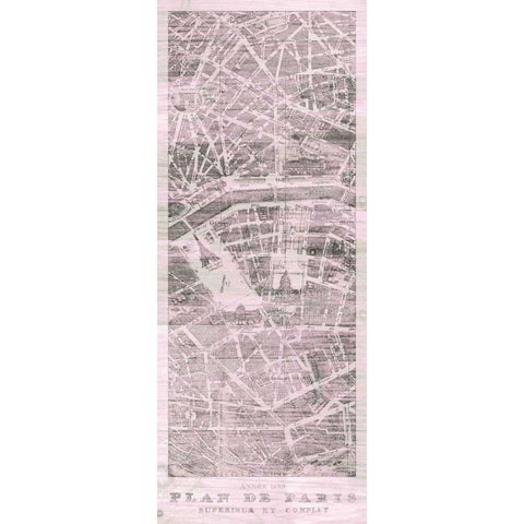 Plan de Paris Panel on Wood v2 Blush Black Modern Wood Framed Art Print with Double Matting by Wild Apple Portfolio