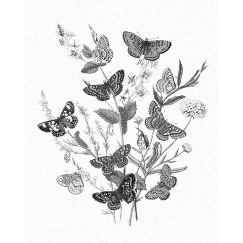 Butterfly Bouquet I Linen BW I Black Modern Wood Framed Art Print with Double Matting by Wild Apple Portfolio