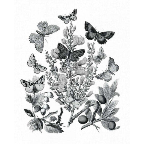 Butterfly Bouquet II Linen BW II Black Modern Wood Framed Art Print with Double Matting by Wild Apple Portfolio