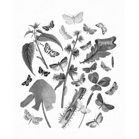 Butterfly Bouquet III Linen BW III Gold Ornate Wood Framed Art Print with Double Matting by Wild Apple Portfolio