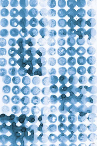 Kanari III Indigo White Modern Wood Framed Art Print with Double Matting by Averinos, Melissa