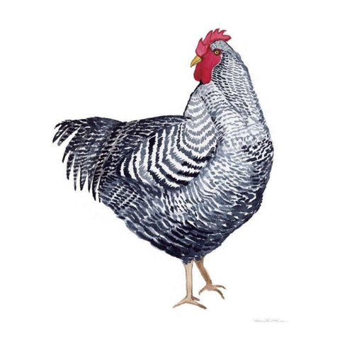 Life on the Farm Chicken Element I Black Modern Wood Framed Art Print by McKenna, Kathleen Parr