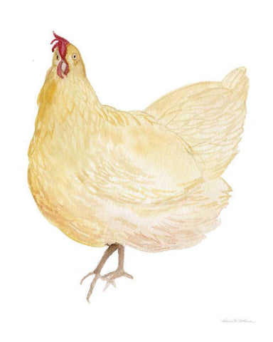 Life on the Farm Chicken Element II White Modern Wood Framed Art Print with Double Matting by McKenna, Kathleen Parr