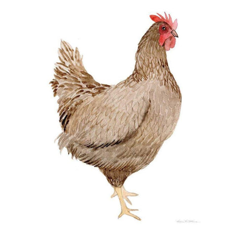 Life on the Farm Chicken Element III Black Modern Wood Framed Art Print by McKenna, Kathleen Parr