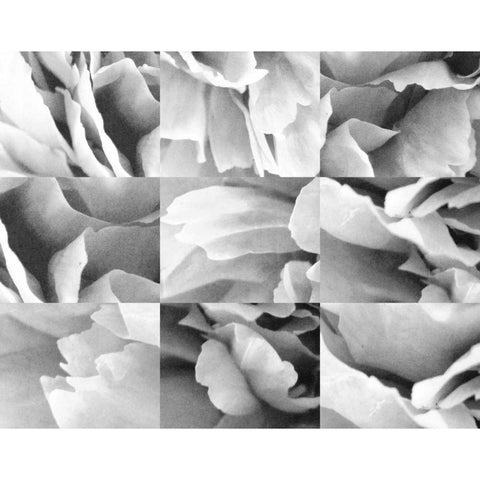 Dreamy Peony Collage White Modern Wood Framed Art Print by Wild Apple Portfolio