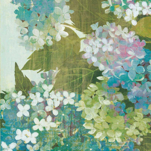 Grandiflora Bloom II Black Modern Wood Framed Art Print by Lovell, Kathrine
