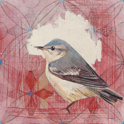 Cerulean Warbler White Modern Wood Framed Art Print with Double Matting by Lovell, Kathrine