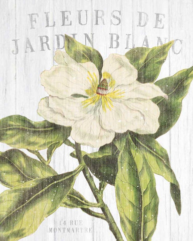 Fleuriste Paris II White Modern Wood Framed Art Print with Double Matting by Wild Apple Portfolio