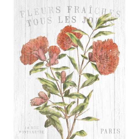 Fleuriste Paris III Gold Ornate Wood Framed Art Print with Double Matting by Wild Apple Portfolio