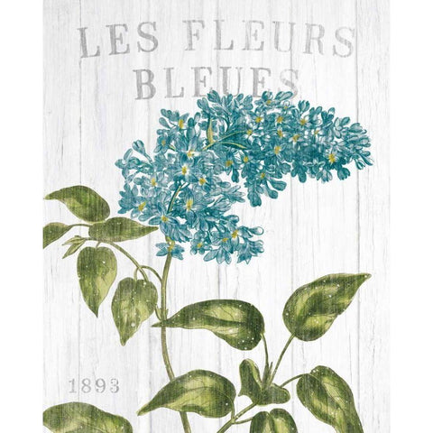 Fleuriste Paris V White Modern Wood Framed Art Print by Wild Apple Portfolio