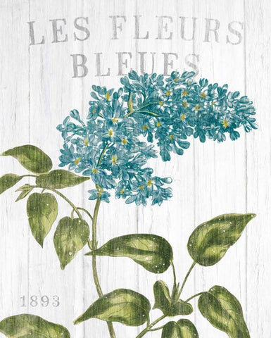 Fleuriste Paris V White Modern Wood Framed Art Print with Double Matting by Wild Apple Portfolio