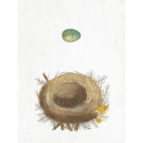 Spring Nest I White Modern Wood Framed Art Print by Wild Apple Portfolio