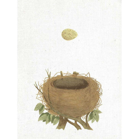 Spring Nest II Black Modern Wood Framed Art Print with Double Matting by Wild Apple Portfolio