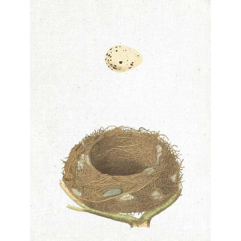 Spring Nest III Gold Ornate Wood Framed Art Print with Double Matting by Wild Apple Portfolio