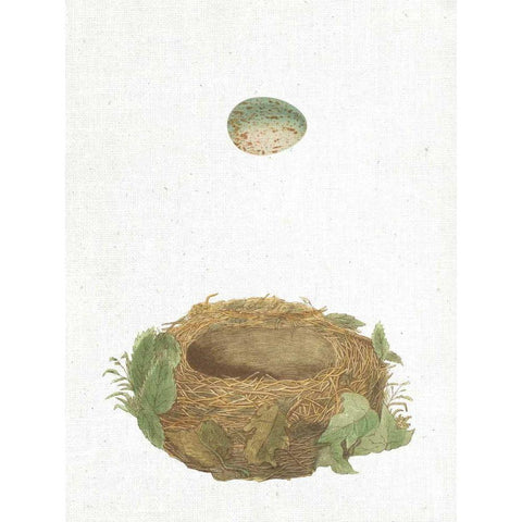 Spring Nest IV Black Modern Wood Framed Art Print by Wild Apple Portfolio