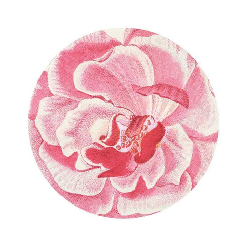 Rosa Circle Black Ornate Wood Framed Art Print with Double Matting by Wild Apple Portfolio