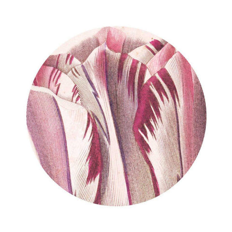 Tulips Circle White Modern Wood Framed Art Print with Double Matting by Wild Apple Portfolio