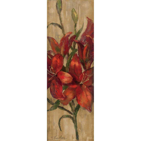 Vivid Red Lily on Gold Black Modern Wood Framed Art Print with Double Matting by Vassileva, Silvia