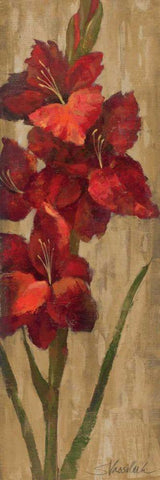 Vivid Red Gladiola on Gold Black Ornate Wood Framed Art Print with Double Matting by Vassileva, Silvia