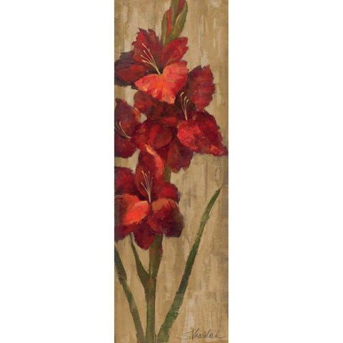 Vivid Red Gladiola on Gold Black Modern Wood Framed Art Print by Vassileva, Silvia