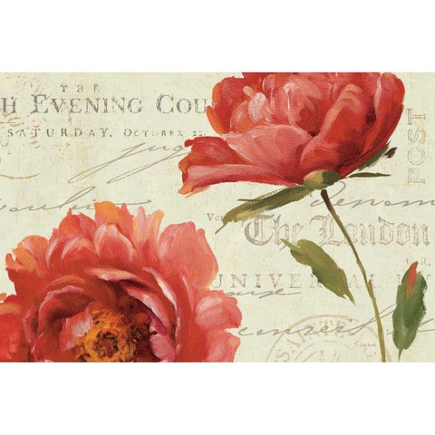 My Own Words Black Modern Wood Framed Art Print with Double Matting by Audit, Lisa