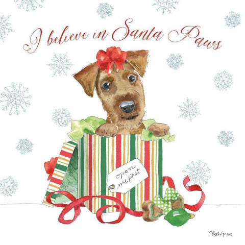 Holiday Paws II White Modern Wood Framed Art Print with Double Matting by Grove, Beth