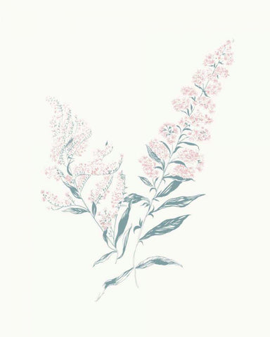 Flowers on White I Contemporary Black Ornate Wood Framed Art Print with Double Matting by Wild Apple Portfolio