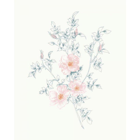 Flowers on White II Contemporary Black Modern Wood Framed Art Print by Wild Apple Portfolio