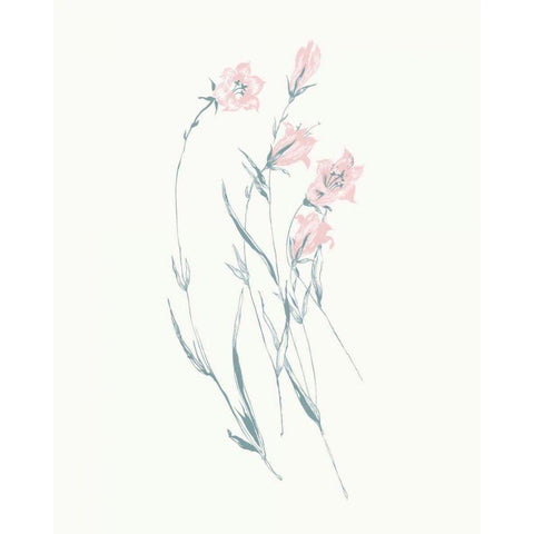 Flowers on White V Contemporary Black Modern Wood Framed Art Print with Double Matting by Wild Apple Portfolio