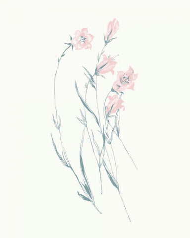 Flowers on White V Contemporary White Modern Wood Framed Art Print with Double Matting by Wild Apple Portfolio