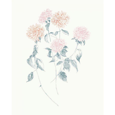 Flowers on White VI Contemporary Black Modern Wood Framed Art Print with Double Matting by Wild Apple Portfolio